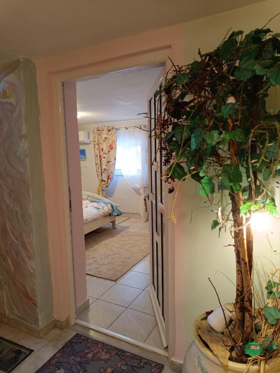 Maria Guesthouse Alivérion Quarto foto